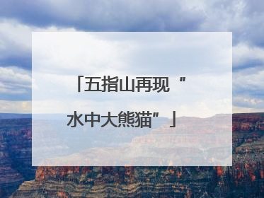 五指山再现“水中大熊猫”