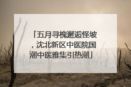 五月寻槐邂逅怪坡，沈北新区中医院国潮中医雅集引热潮