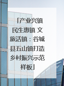 产业兴镇 民生惠镇 文旅活镇：谷城县五山镇打造乡村振兴示范样板