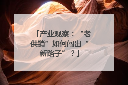 产业观察：“老供销”如何闯出“新路子”？
