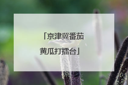京津冀番茄黄瓜打擂台