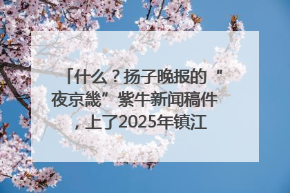 什么？扬子晚报的“夜京畿”紫牛新闻稿件，上了2025年镇江中考模拟卷！