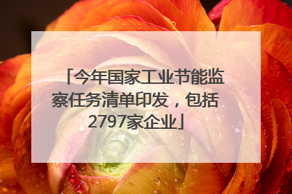 今年国家工业节能监察任务清单印发，包括2797家企业