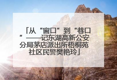 从“窗口”到“巷口”——记东湖高新公安分局茅店派出所梧桐苑社区民警樊艳玲