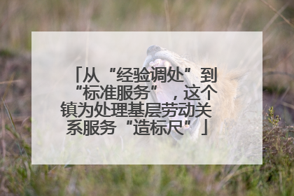 从“经验调处”到“标准服务”，这个镇为处理基层劳动关系服务“造标尺”