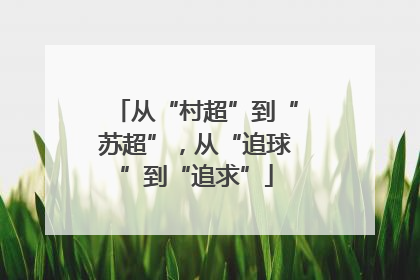 从“村超”到“苏超”，从“追球”到“追求”