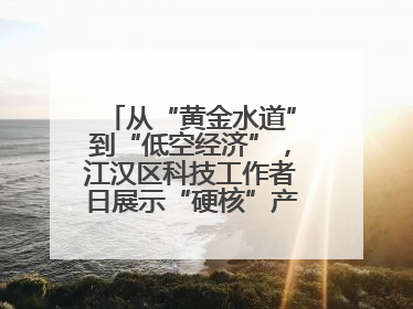 从“黄金水道”到“低空经济”，江汉区科技工作者日展示“硬核”产业答卷
