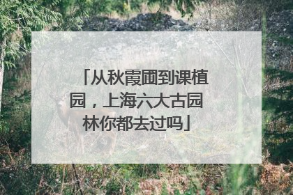 从秋霞圃到课植园，上海六大古园林你都去过吗