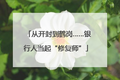 从开封到鹤岗……银行人当起“修复师”
