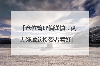 仓位管理偏谨慎，两大领域获投资者看好