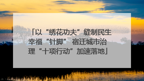 以“绣花功夫”缝制民生幸福“针脚” 宿迁城市治理“十项行动”加速落地