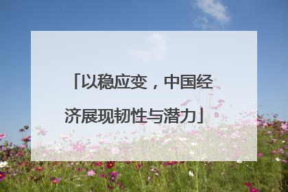 以稳应变，中国经济展现韧性与潜力