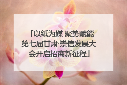 以纸为媒 聚势赋能 第七届甘肃·崇信发展大会开启招商新征程