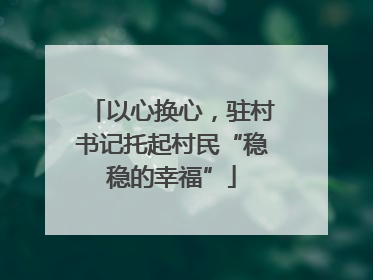 以心换心，驻村书记托起村民“稳稳的幸福”