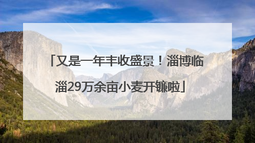 又是一年丰收盛景！淄博临淄29万余亩小麦开镰啦
