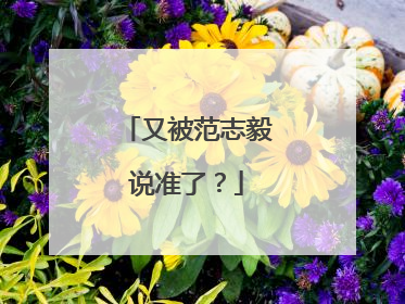 又被范志毅说准了？