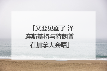 又要见面了 泽连斯基将与特朗普在加拿大会晤