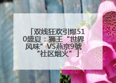 双线狂欢引爆510盛夏：狮王“世界风味”VS燕京9號“社区烟火”