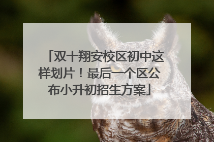 双十翔安校区初中这样划片！最后一个区公布小升初招生方案