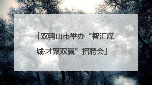 双鸭山市举办“智汇煤城·才聚双赢”招聘会