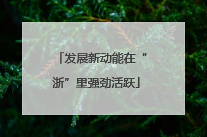 发展新动能在“浙”里强劲活跃