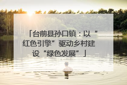 台前县孙口镇：以“红色引擎”驱动乡村建设“绿色发展”