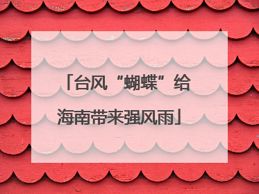 台风“蝴蝶”给海南带来强风雨