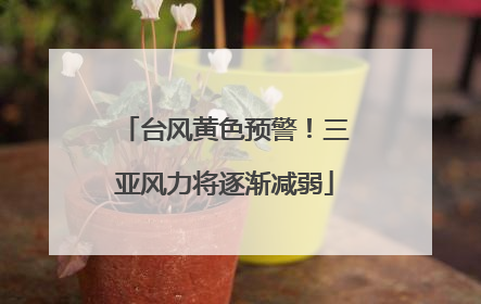 台风黄色预警！三亚风力将逐渐减弱