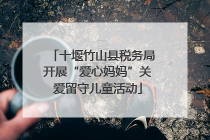 十堰竹山县税务局开展“爱心妈妈”关爱留守儿童活动