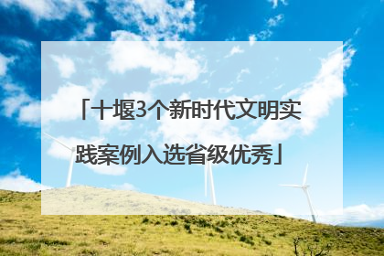 十堰3个新时代文明实践案例入选省级优秀