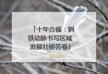 十年合福：钢铁动脉书写区域发展壮丽答卷