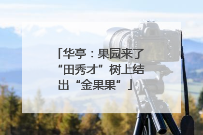 华亭：果园来了“田秀才”树上结出“金果果”