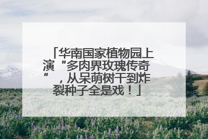 华南国家植物园上演“多肉界玫瑰传奇”，从呆萌树干到炸裂种子全是戏！