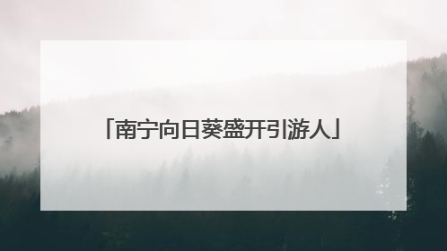 南宁向日葵盛开引游人