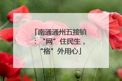 南通通州五接镇：“网”住民生，“格”外用心