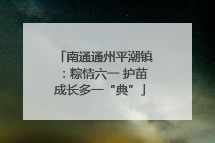 南通通州平潮镇：粽情六一 护苗成长多一“典”