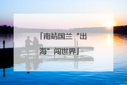 南靖国兰“出海”闯世界