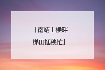 南靖土楼畔 梯田插秧忙