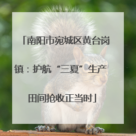 南阳市宛城区黄台岗镇：护航“三夏”生产 田间抢收正当时