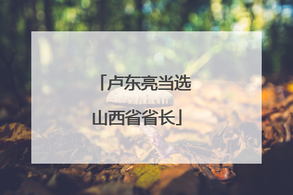 卢东亮当选山西省省长