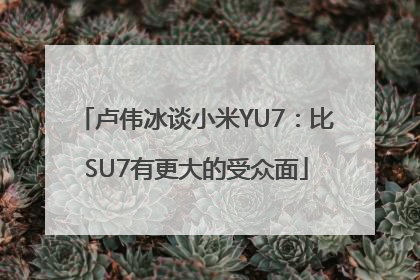 卢伟冰谈小米YU7：比SU7有更大的受众面