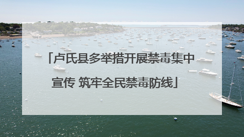 卢氏县多举措开展禁毒集中宣传 筑牢全民禁毒防线