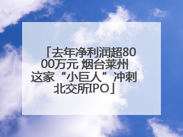 去年净利润超8000万元 烟台莱州这家“小巨人”冲刺北交所IPO