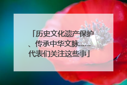 历史文化遗产保护、传承中华文脉……代表们关注这些事