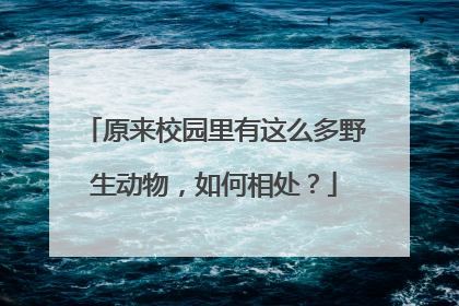 原来校园里有这么多野生动物，如何相处？