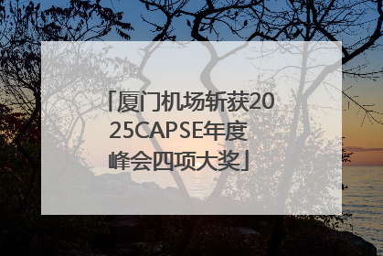 厦门机场斩获2025CAPSE年度峰会四项大奖