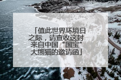 值此世界环境日之际，请查收这封来自中国“国宝”大熊猫的邀请函