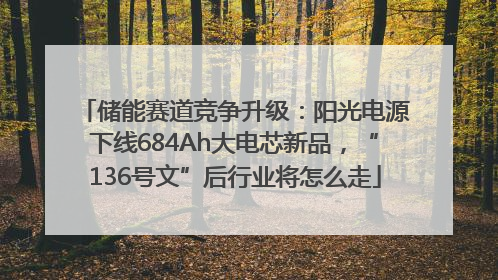 储能赛道竞争升级：阳光电源下线684Ah大电芯新品，“136号文”后行业将怎么走