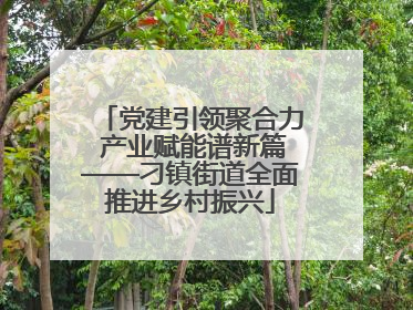 党建引领聚合力 产业赋能谱新篇——刁镇街道全面推进乡村振兴