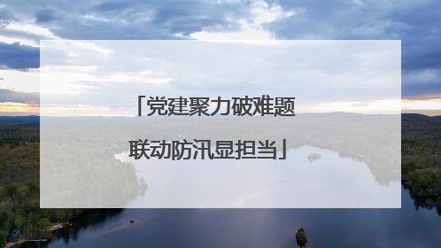 党建聚力破难题 联动防汛显担当